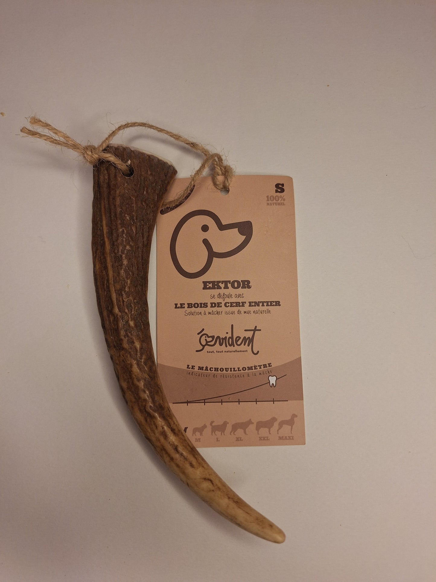 🦌 Bois de Cerf Taille S – Évident