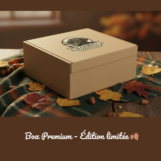 Box Premium âBalade en forĂȘtâ đ LâexpĂ©rience complĂšte Made in France  âš