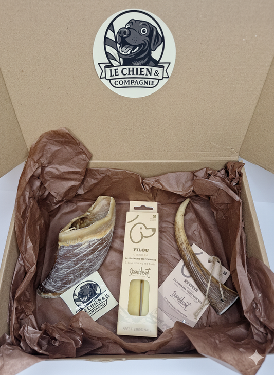 🐾 Coffret MASTICATION