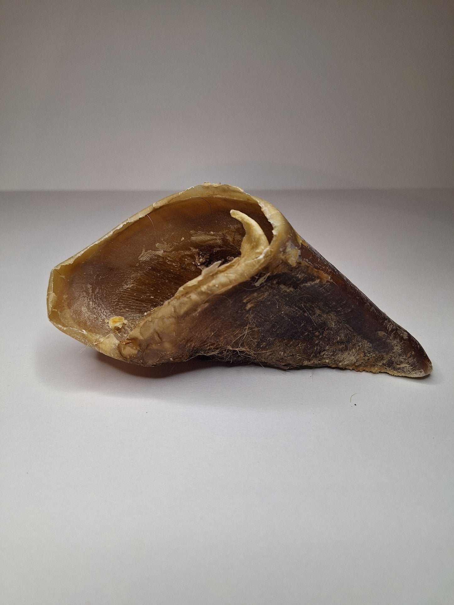 🐄 Sabot de Bœuf – Truffe Délice